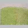 Leaf Base 40er 01.jpg